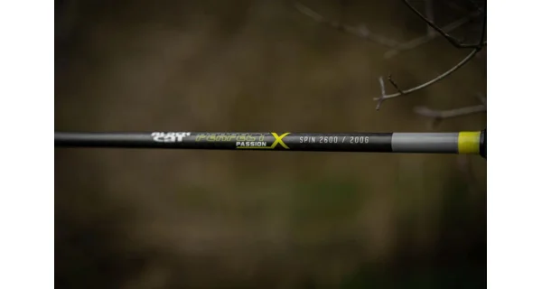BLACK CAT - Prut Perfect Passion X Spin 2,6 m 200 g 2 díly