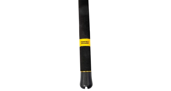 BLACK CAT - Prut Perfect Passion XH-S 2,8 m 600 g