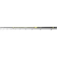 BLACK CAT - Prut Perfect Passion XH-S 2 díly/2,80 m/600 g BLACK CAT - Prut Perfect Passion XH-S 2 díly/2,80 m/600 g