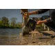 BLACK CAT - Skládací kbelík Collapsible Water Bucket 7 l