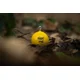 BLACK CAT - Zátěž Cat Ball Yellow 200 g