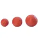 CARP INFERNO - Boilies Balanced 24 mm 200 ml Xtazi