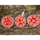 CARP INFERNO - Boilies Balanced 24 mm 200 ml Xtazi