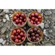 CARP INFERNO - Boosted boilies Hot Line 20 mm 300 ml Xtazi