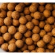 CARP-ONLY - Boilies Hookbait Frenetic A.L.T. 20 mm 1 kg Monster Crab