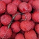 CARP-ONLY - Boilies Hookbait Frenetic A.L.T. 20 mm 1 kg Strawberry