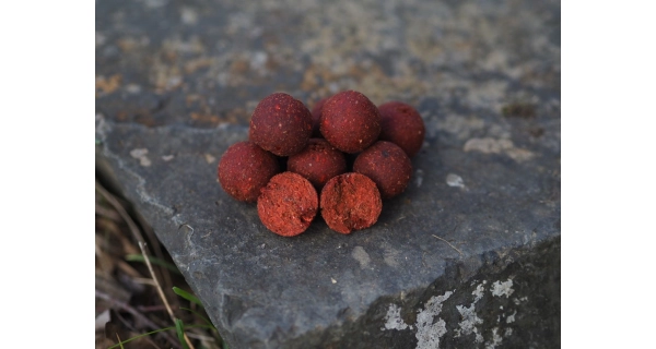 CARP-ONLY - Boilies Hookbait Frenetic A.L.T. 24 mm 1 kg Chilli Spice