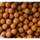 CARP-ONLY - Boilies Hookbait Frenetic A.L.T. 24 mm 1 kg Monster Crab