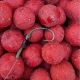 CARP-ONLY - Boilies Hookbait Frenetic A.L.T. 24 mm 1 kg Strawberry