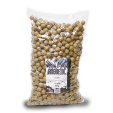 CARP-ONLY - Frenetic A.L.T. Boilies Liver 16 mm 5 kg