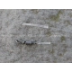 CARP ´R´ US - Clearwater Gizmo Swivel Leader 92 cm 30 lb 2 ks