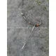 CARP'R'US - Hotové návazce/vlasy Clearwater Ready Hairs Large, 3 ks