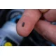 CARP'R'US - Krimpovací svorky Crimps 50 ks 0,5 mm