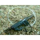 CARP'R'US - Montáž Snag clip system - weed 92 cm 30 lb, 1 ks