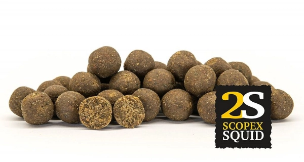 CHYTIL - Boilies 16 mm 250 g 2S Scopex Squid