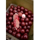 CHYTIL - Boilies 16 mm 250 g Krill Max