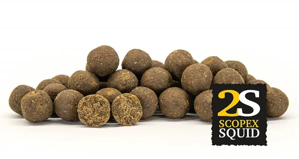 CHYTIL - Boilies 20 mm 1 kg 2S Scopex Squid