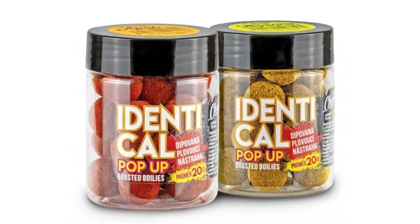 CHYTIL - Boilies Identical Pop Up 20 mm 100 g 2S Scopex Squid