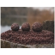 CHYTIL - Boilies Pandemia 16 mm Krill Max