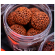 CHYTIL - Boilies Pandemia 20 mm 2S Scopex Squid