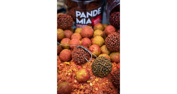 CHYTIL - Boilies Pandemia 20 mm Apač Indian Spice