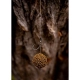 CHYTIL - Boilies Pandemia 20 mm Black Panther