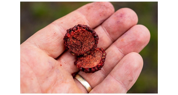 CHYTIL - Boilies Pandemia 20 mm Black Panther