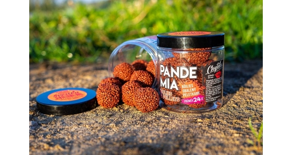 CHYTIL - Boilies Pandemia 24 mm Apač