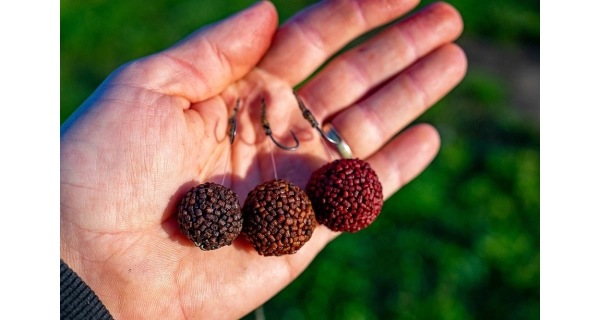 CHYTIL - Boilies Pandemia 24 mm Apač