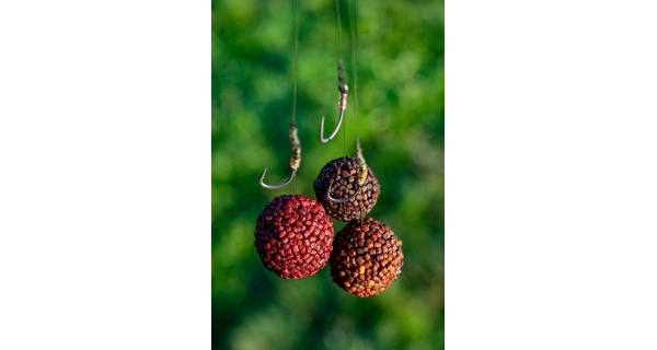 CHYTIL - Boilies Pandemia 24 mm Apač