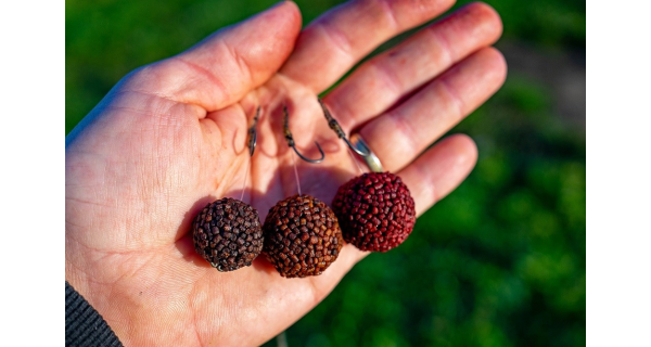 CHYTIL - Boilies Pandemia 24 mm Ichigo Hotto