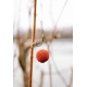 CHYTIL - Boosterované boilies 20 mm 120 g Chiméra Red