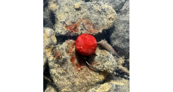 CHYTIL - Dipované boilies Master Carp 16 mm 120 g Nahnilý krab