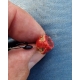 CHYTIL - Feeder peletky s dírou 8 mm 30 g Broskev Pepř