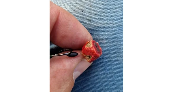 CHYTIL - Feeder peletky s dírou 8 mm 30 g Hruška máslová