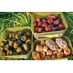 CHYTIL - Kapří Amino pelety s dírou 20 mm 250 g