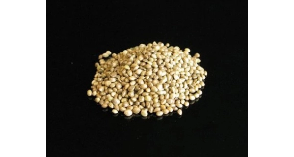 CHYTIL - Konopné semínko 500 g