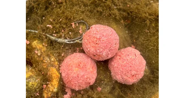 CHYTIL - Krmné boilies 20 mm 5 kg Kořeněný tuňák & Česnek