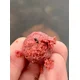 CHYTIL - Krmné boilies 20 mm 5 kg Krill & Pepř
