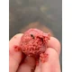CHYTIL - Krmné boilies 20 mm 5 kg Scopex & Oliheň