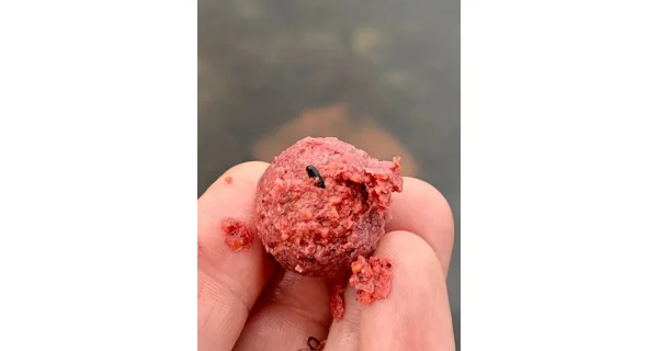 CHYTIL - Krmné boilies 24 mm 5 kg Švestka