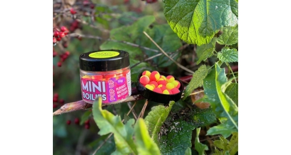 CHYTIL - Pop Up Mini Boilies 10 mm 15 g  Ananas