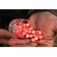 CHYTIL - Pop Up Mini Boilies 10 mm 15 g  Scopex