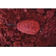 CHYTIL - Předvlhčená krmítková směs Method 750 g Krill