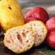 CHYTIL - Pufovaný chleba mini 25 g Česnek