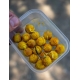 CHYTIL - Rohlíkový boilies Maxi 20 mm 60 g Amur