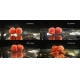 CHYTIL - Rozpustné boilies 16 mm 120 g Chiméra Red