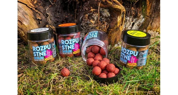 CHYTIL - Rozpustné boilies 16 mm 120 g Kořeněný tuňák Česnek Asa