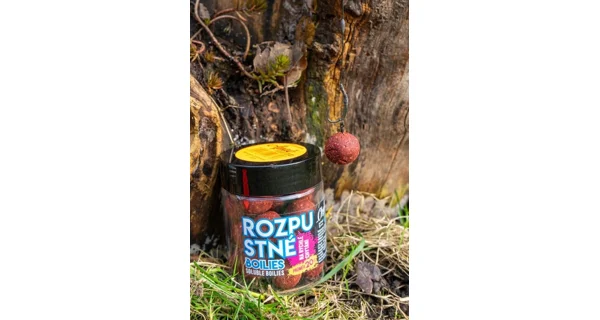 CHYTIL - Rozpustné boilies 16 mm 120 g Kořeněný tuňák Česnek Asa