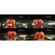 CHYTIL - Rozpustné boilies 16 mm 120 g Krill Max